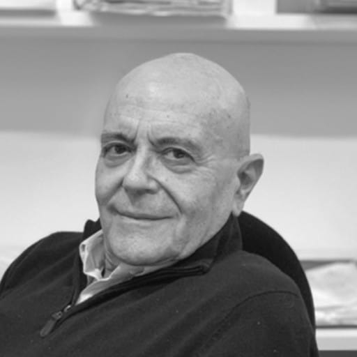 Luigi Arisi